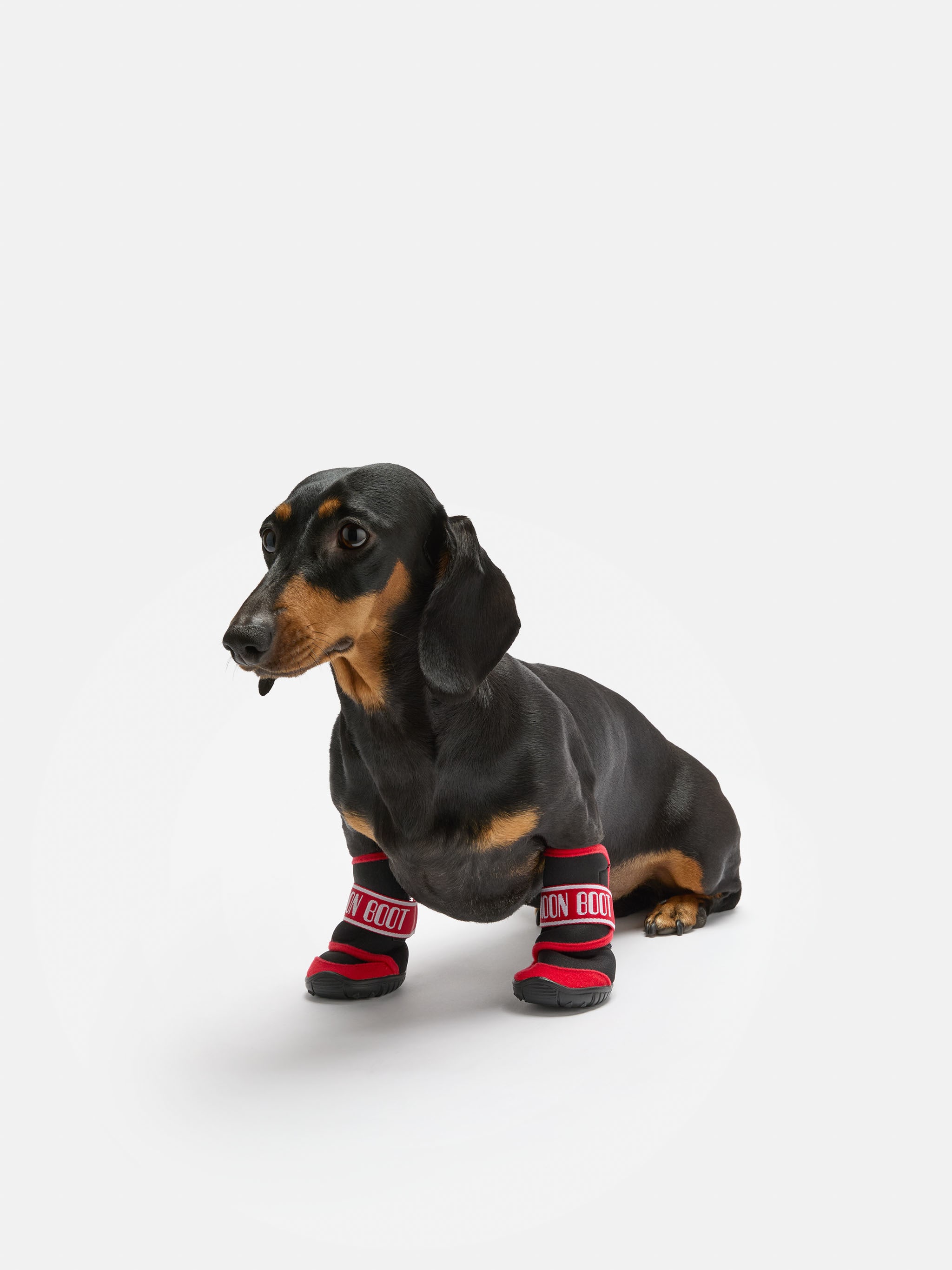 MOON BOOT X POLDO DOG COUTURE SCARPE PER CANI ROSSO